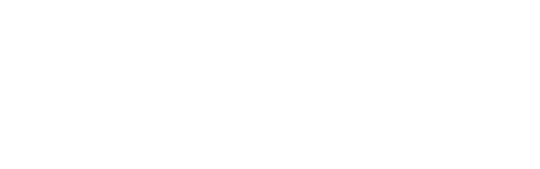 New Zealand Government Logo